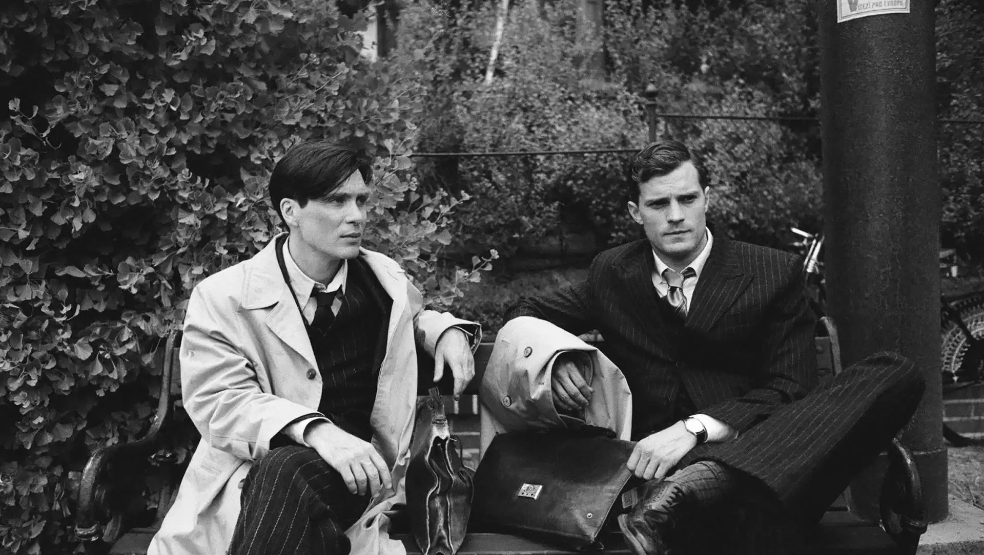 Anthropoid Anthropoid