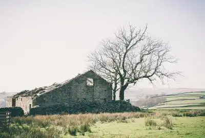 God´s Own Country God´s Own Country