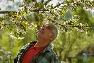 Gardener Gardener