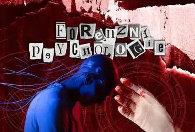 Forensic Psychology Forensic Psychology