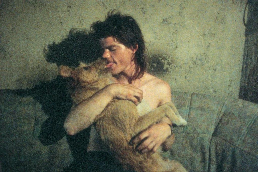 Animal Love