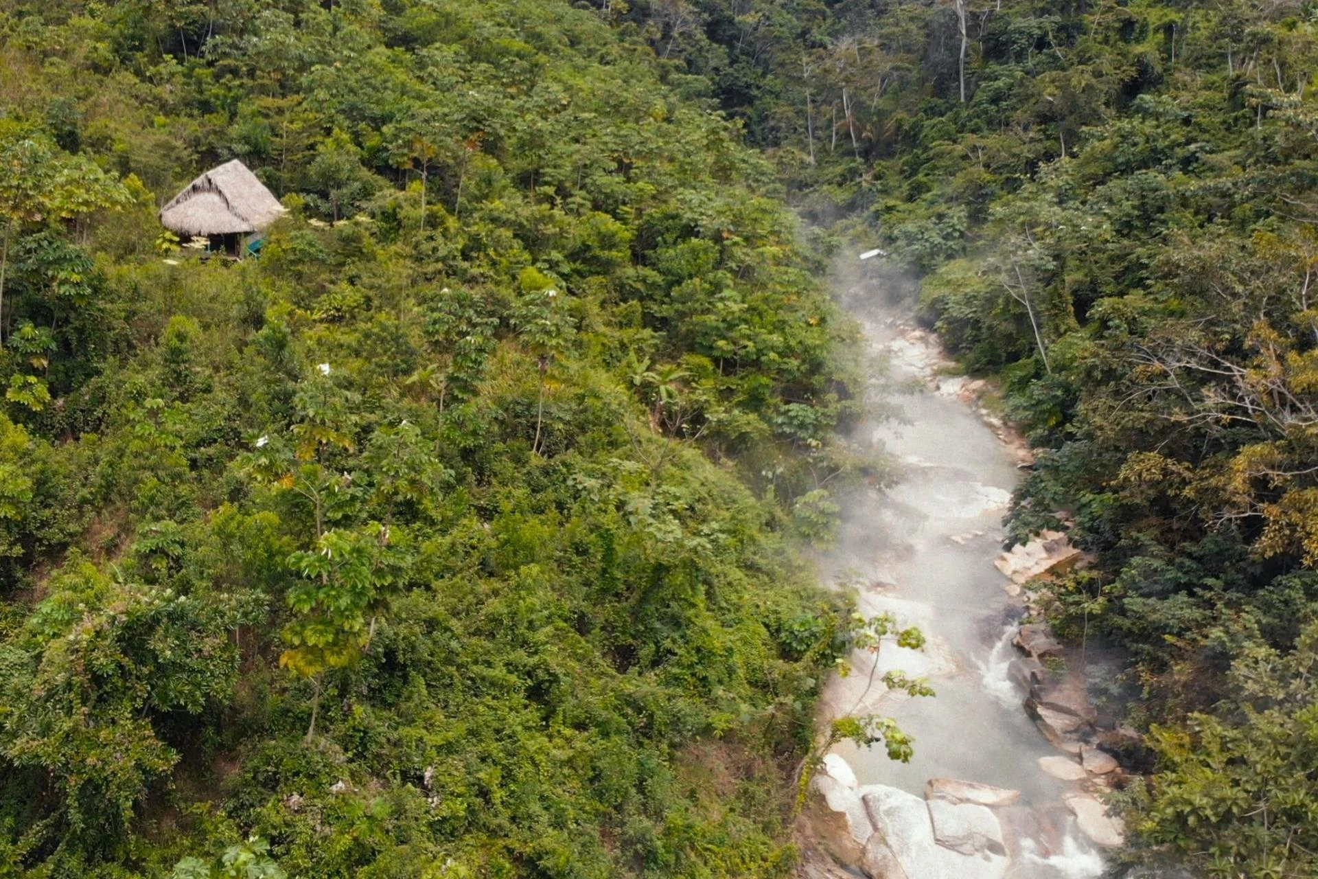 Psychedelic Research in Amazonia Psychedelic Research in Amazonia