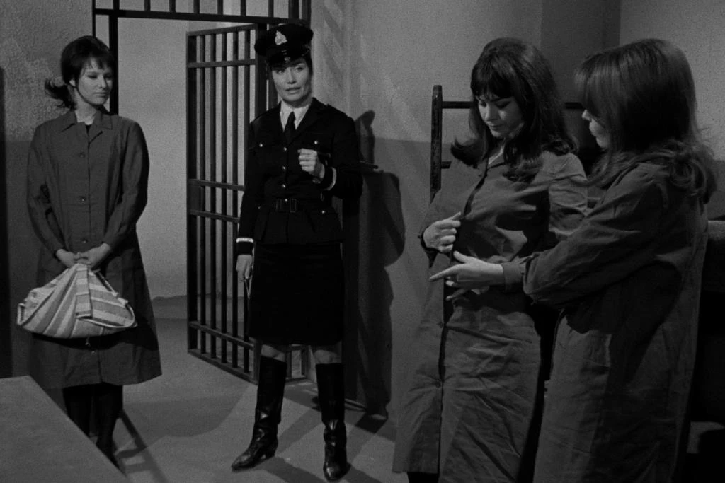 The Devil's Girls