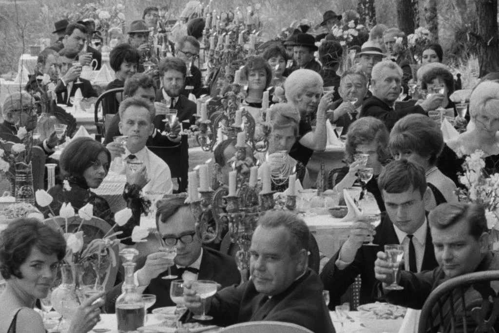 The Party and the Guests