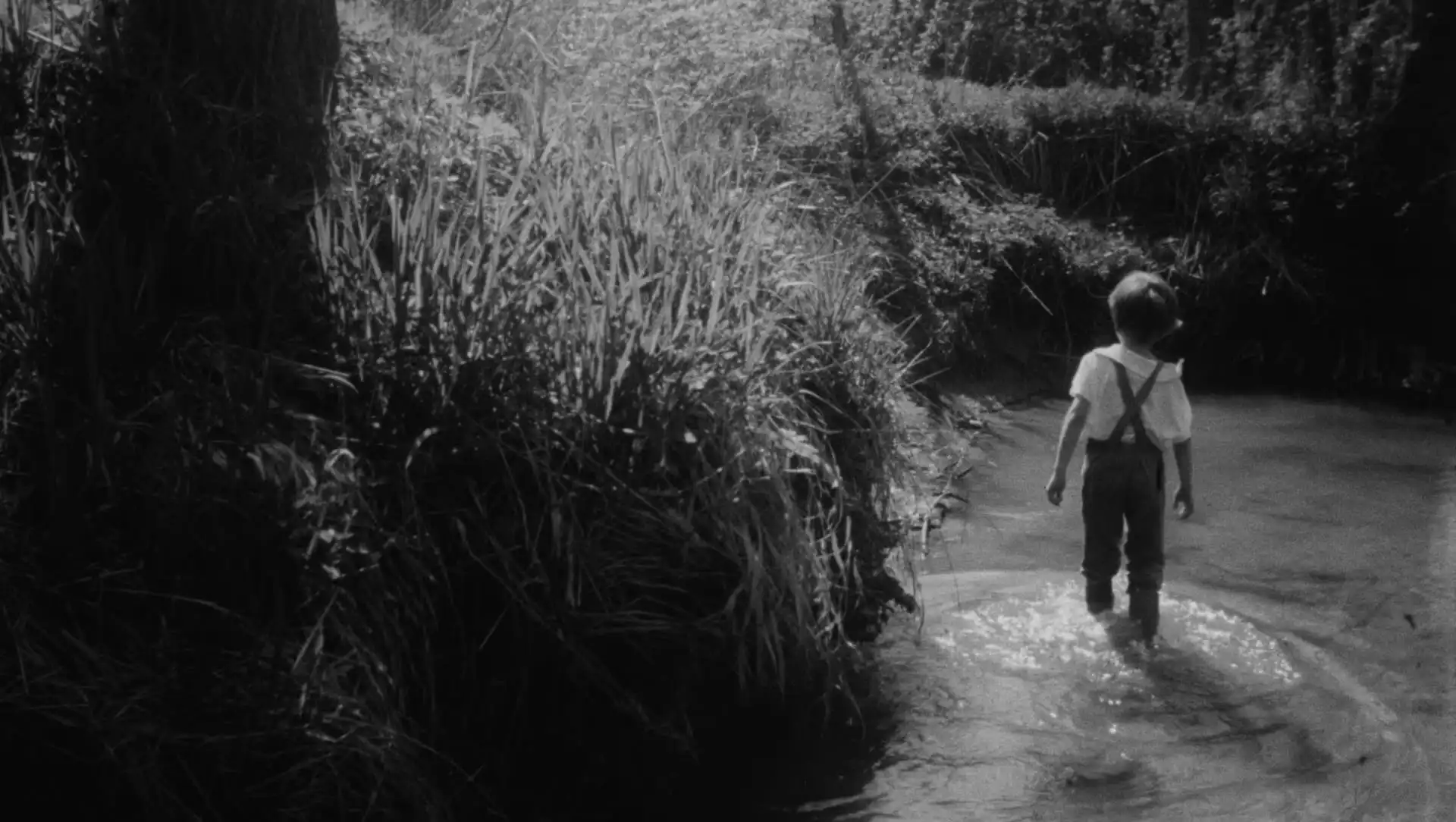 FAMU History: Female filmmakers of the 1970s and 1980s