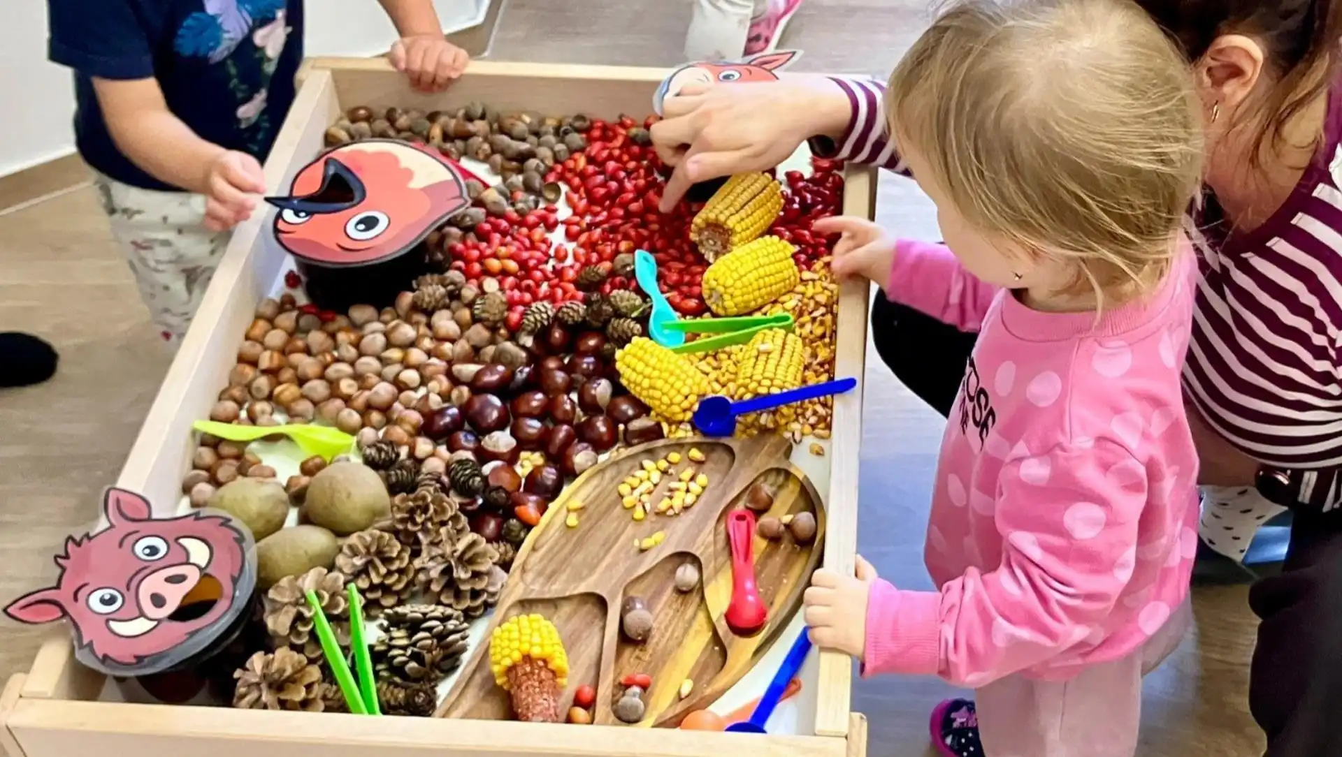 The Sensory Glade – Sensory Play
