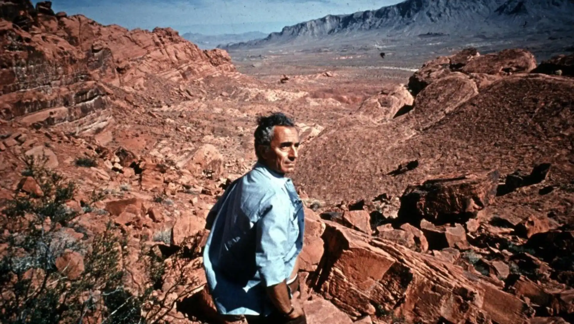 The Italian auteur abroad: Michelangelo Antonioni between France and the U.S.